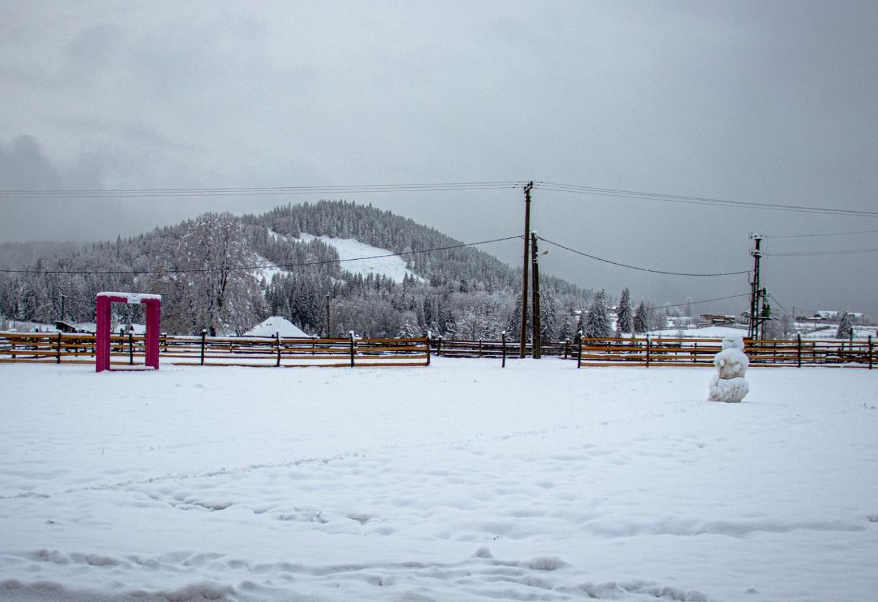 Chalet Delut Botus Exterior foto